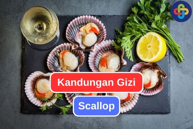 Inilah Kandungan Gizi dalam Scallop